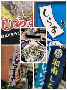 %e3%81%97%e3%82%89%e3%81%99%e4%b8%bc